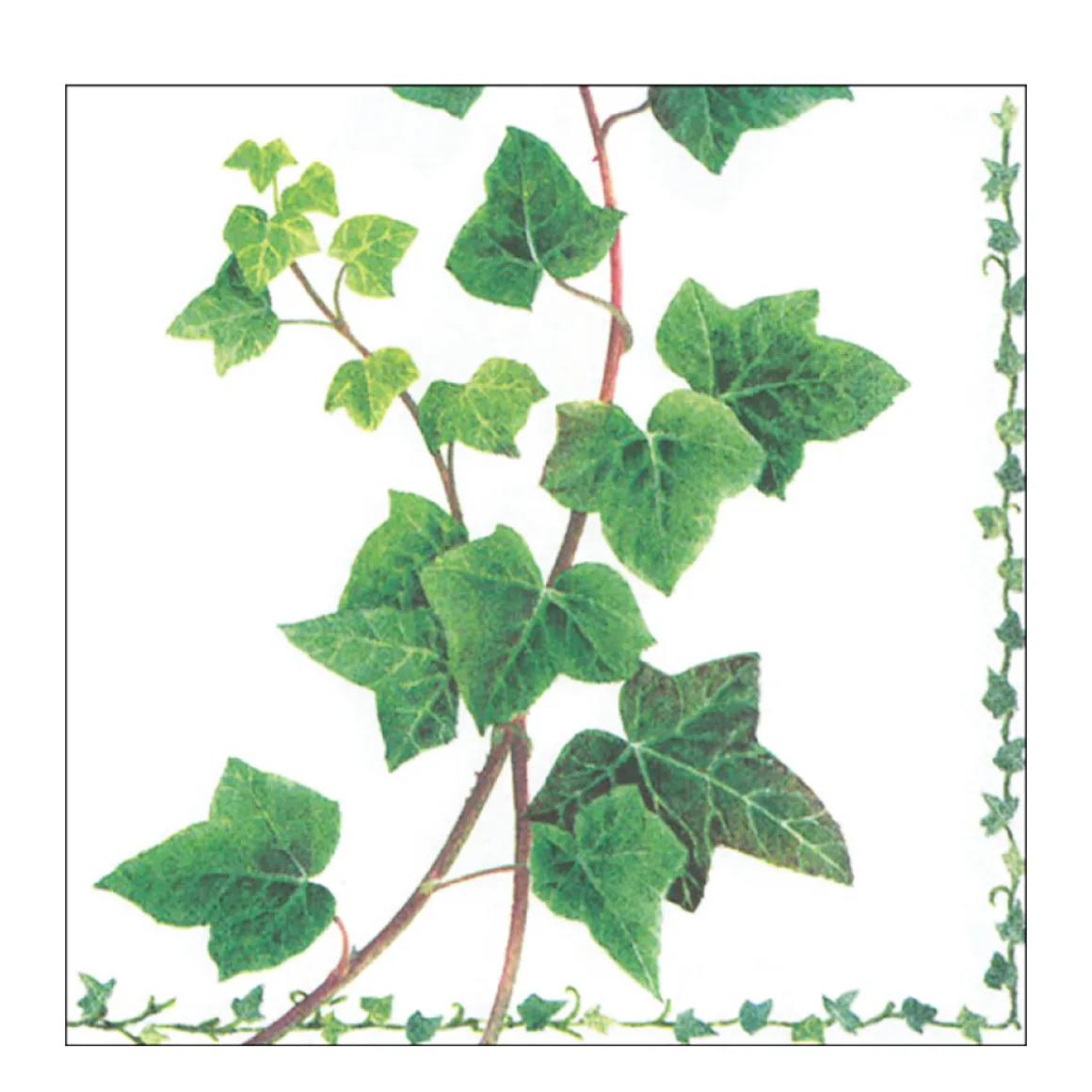 Ambiente Papierservietten Efeublätter, Ivy Tendril, 33x33cm