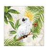 Ambiente Papierservietten Papagei, Cockatoo, 33x33cm