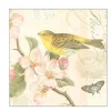 Ambiente Papierservietten Vogel, Schmetterling und Blumen Nostalgie, 33x33cm