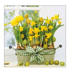 Ambiente Papierservietten, Narzissen, 33x33cm