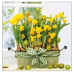 Ambiente Papierservietten, Narzissen, 33x33cm