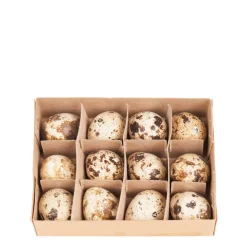 Deko Eier natur, Wachteleier natur, 12St/Box, DIJK Natural Collections