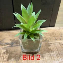 Deko Kunstpflanze Sukkulente im im Glas, Sukkulente wie echt, Sukkulente im Erdballen