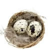 Deko Vogelnest Natur, kleines Weidennest mit Wachteleier und Federn, Ø6cm