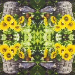 Home Fashion Papierservietten Sonnenblumen, Sunny Flower, 25x25cm