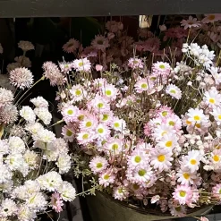 Kunstblumen, Wiesenblumen, rosa-creme-hellgrün, 57cm