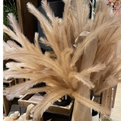 Kunstfpflanze Pampasgras, filigran naturfarben, mit Draht zum Formen, 140cm