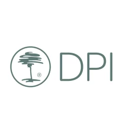 Kunstpflanze Erika, Erika calluna creme, 26cm, Pick, DPI