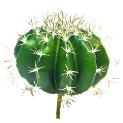 Kunstpflanze Kaktus, Kaktus Vertus, grün, 18cm, Pick