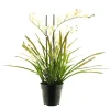 Kunstpflanze Orchidee im Topf, Meadow creme, 71cm, getopft
