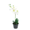 Kunstpflanze Orchidee im Topf, Schmetterlingsorchidee weiß, Phalaenopsis Bora, 35cm, getopft