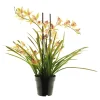 Kunstpflanze Orchidee im Topf, Meadow pink, 71cm, getopft