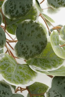 Kunstpflanze Leuchterblume Ceropegia woodii grüntöne im Topf, Hängepflanze, Mica Decorations