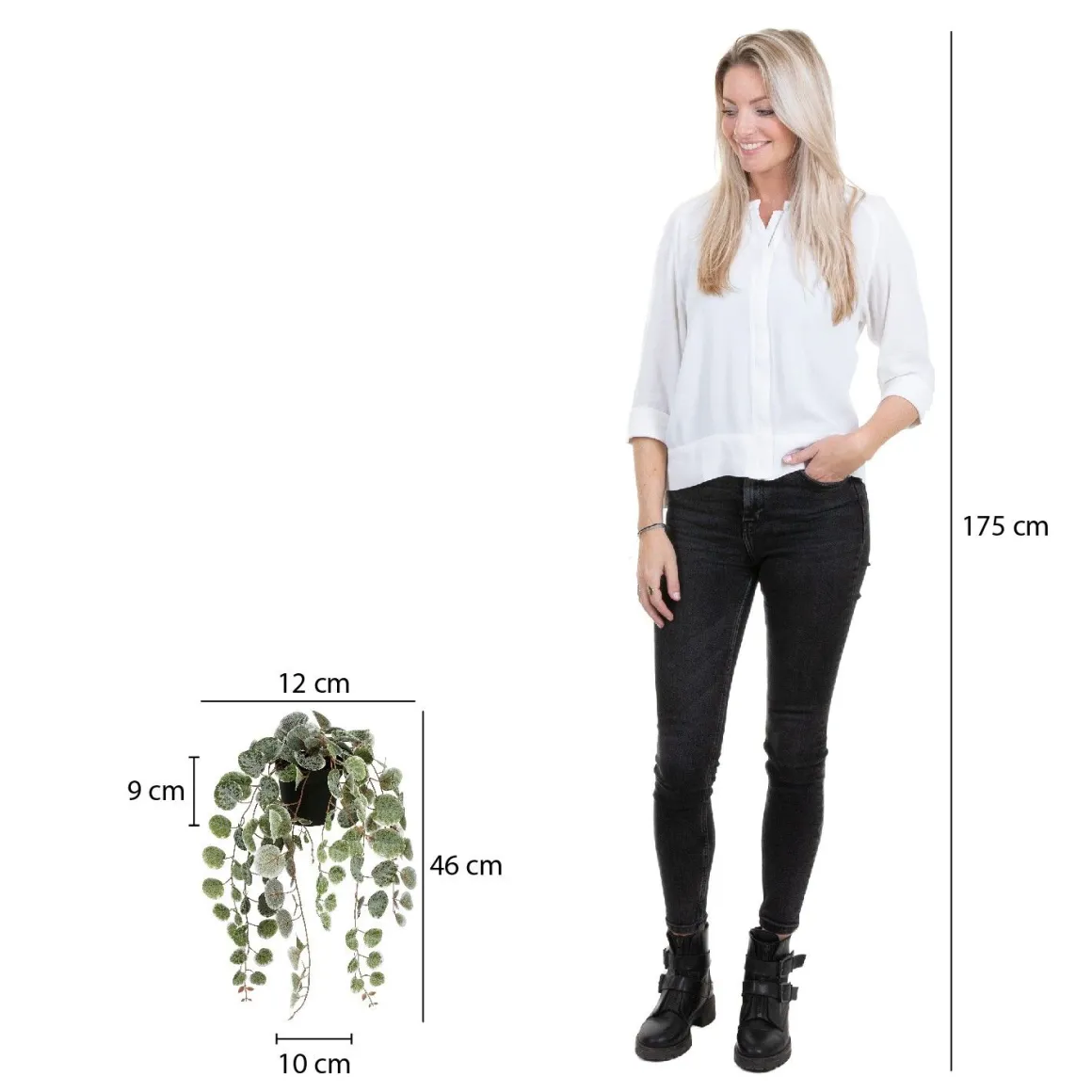 Kunstpflanze Leuchterblume Ceropegia woodii grüntöne im Topf, Hängepflanze, Mica Decorations