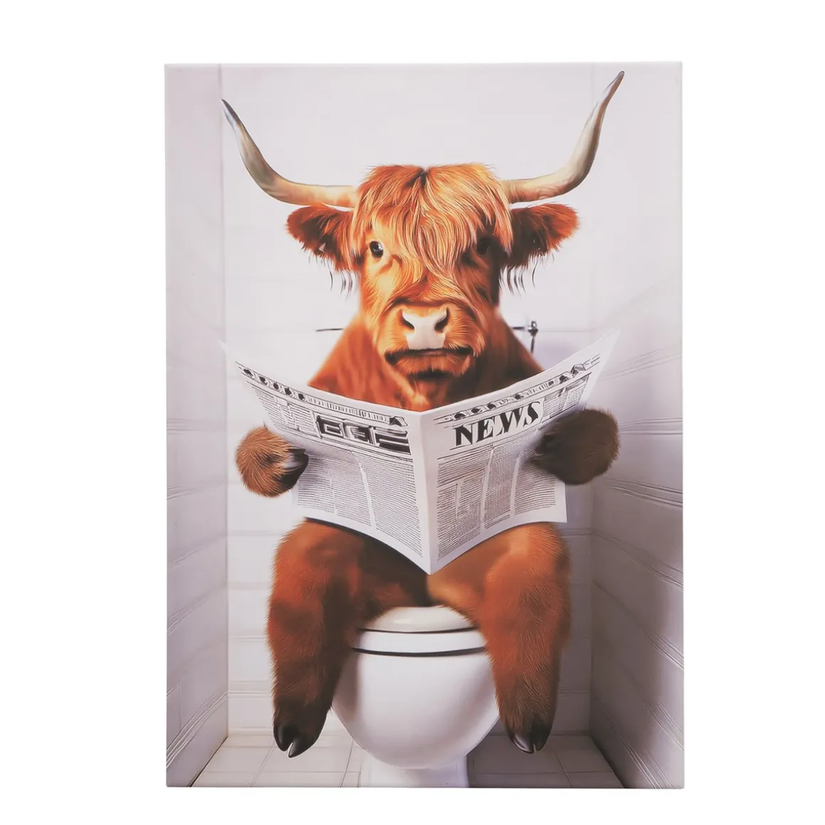 Leinwandbild lustiges Hochlandrind Lumpi beim Zeitungslesen, Stier auf Toilette, 50x70cm