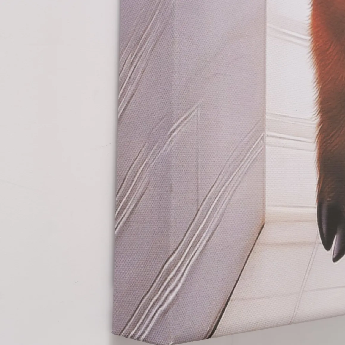 Leinwandbild lustiges Hochlandrind Lumpi beim Zeitungslesen, Stier auf Toilette, 50x70cm