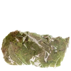 Moos grün natur, Naturmoos, Plattenmoos im Beutel, 100gr, DIJK Natural Collections