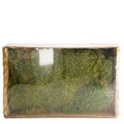 Natur Moos grün, Plattenmoos grün, 150gr/Box, DIJK Natural Collections