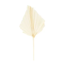 Palm Blatt Natur, 30cm, gebleicht, 4St/Pack, DIJK Natural Collections
