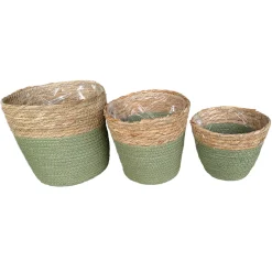 Pflanzkorb Seegras Natur, Übertopf gekordelt grün-natur, 18cm, Naturkorb