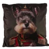 Samtkissen Hund, stolzer Admiral Dackel in Uniform, 45x45cm