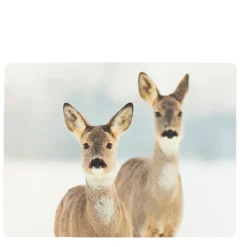 Tischset Reh, 2 Rehe im Winter, 40x30cm, MDF/Kork, Mars & More