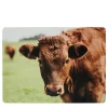 Tischset Schweizer Kuh, Kuh auf der Wiese, 40x30cm, MDF-Kork, Mars & More